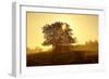 Germany, Lower Saxony, Weser Hills, Nature, Evening Light-Chris Seba-Framed Photographic Print