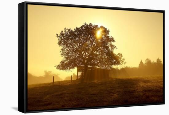 Germany, Lower Saxony, Weser Hills, Nature, Evening Light-Chris Seba-Framed Stretched Canvas