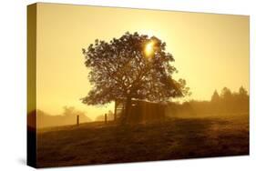 Germany, Lower Saxony, Weser Hills, Nature, Evening Light-Chris Seba-Stretched Canvas