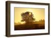 Germany, Lower Saxony, Weser Hills, Nature, Evening Light-Chris Seba-Framed Photographic Print