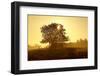 Germany, Lower Saxony, Weser Hills, Nature, Evening Light-Chris Seba-Framed Photographic Print