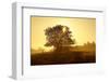 Germany, Lower Saxony, Weser Hills, Nature, Evening Light-Chris Seba-Framed Photographic Print