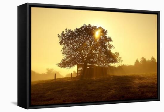 Germany, Lower Saxony, Weser Hills, Nature, Evening Light-Chris Seba-Framed Stretched Canvas