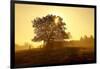 Germany, Lower Saxony, Weser Hills, Nature, Evening Light-Chris Seba-Framed Photographic Print