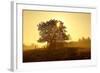 Germany, Lower Saxony, Weser Hills, Nature, Evening Light-Chris Seba-Framed Photographic Print