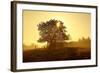 Germany, Lower Saxony, Weser Hills, Nature, Evening Light-Chris Seba-Framed Photographic Print