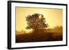 Germany, Lower Saxony, Weser Hills, Nature, Evening Light-Chris Seba-Framed Photographic Print