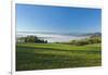 Germany, Lower Saxony, Weser Hills, Ottenstein Plateau, Autumn, Morning Fog, Weser Valley-Chris Seba-Framed Premium Photographic Print