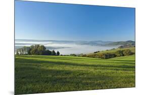 Germany, Lower Saxony, Weser Hills, Ottenstein Plateau, Autumn, Morning Fog, Weser Valley-Chris Seba-Mounted Premium Photographic Print