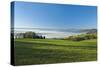 Germany, Lower Saxony, Weser Hills, Ottenstein Plateau, Autumn, Morning Fog, Weser Valley-Chris Seba-Stretched Canvas