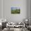 Germany, Lower Saxony, Weser Hills, Polle, the Weser, Tourboats-Chris Seba-Photographic Print displayed on a wall