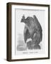 Germany, March 9, 1888, 1888-Joseph Swain-Framed Giclee Print