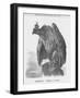 Germany, March 9, 1888, 1888-Joseph Swain-Framed Giclee Print