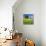 Germany, Mecklenburg-West Pomerania, Grain Field, Solitairy Oak, Hut-Andreas Vitting-Stretched Canvas displayed on a wall