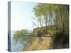 Germany, Mecklenburg-West Pomerania, the Baltic Sea, RŸgen, National Park Jasmund-Andreas Keil-Stretched Canvas