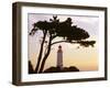 Germany, Mecklenburg-Western Pomerania, Hiddensee, Bakenberg, Silhouette, Tree-Photo-Active-Framed Photographic Print