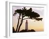 Germany, Mecklenburg-Western Pomerania, Hiddensee, Bakenberg, Silhouette, Tree-Photo-Active-Framed Photographic Print