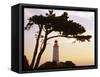 Germany, Mecklenburg-Western Pomerania, Hiddensee, Bakenberg, Silhouette, Tree-Photo-Active-Framed Stretched Canvas