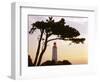 Germany, Mecklenburg-Western Pomerania, Hiddensee, Bakenberg, Silhouette, Tree-Photo-Active-Framed Photographic Print