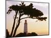 Germany, Mecklenburg-Western Pomerania, Hiddensee, Bakenberg, Silhouette, Tree-Photo-Active-Mounted Photographic Print