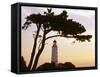 Germany, Mecklenburg-Western Pomerania, Hiddensee, Bakenberg, Silhouette, Tree-Photo-Active-Framed Stretched Canvas