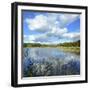 Germany, Mecklenburg-Western Pomerania, Ichlim (Hotel), Nebelsee (Lake)-Andreas Vitting-Framed Photographic Print