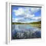 Germany, Mecklenburg-Western Pomerania, Ichlim (Hotel), Nebelsee (Lake)-Andreas Vitting-Framed Photographic Print