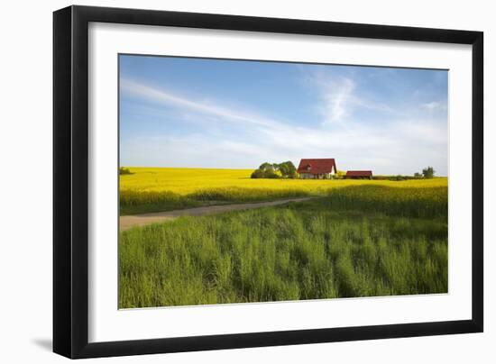 Germany, Mecklenburg-Western Pomerania, Island Usedom, Rape Field, House-Chris Seba-Framed Photographic Print