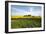 Germany, Mecklenburg-Western Pomerania, Island Usedom, Rape Field, House-Chris Seba-Framed Photographic Print