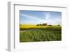 Germany, Mecklenburg-Western Pomerania, Island Usedom, Rape Field, House-Chris Seba-Framed Photographic Print