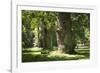 Germany, Mecklenburg-Western Pomerania, 'Ivenacker Eichen', zoo, district Mecklenburg lakeland, clo-Roland T. Frank-Framed Photographic Print