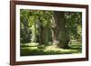 Germany, Mecklenburg-Western Pomerania, 'Ivenacker Eichen', zoo, district Mecklenburg lakeland, clo-Roland T. Frank-Framed Photographic Print