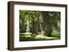 Germany, Mecklenburg-Western Pomerania, 'Ivenacker Eichen', zoo, district Mecklenburg lakeland, clo-Roland T. Frank-Framed Photographic Print