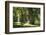 Germany, Mecklenburg-Western Pomerania, 'Ivenacker Eichen', zoo, district Mecklenburg lakeland, clo-Roland T. Frank-Framed Photographic Print