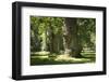 Germany, Mecklenburg-Western Pomerania, 'Ivenacker Eichen', zoo, district Mecklenburg lakeland, clo-Roland T. Frank-Framed Photographic Print