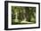 Germany, Mecklenburg-Western Pomerania, 'Ivenacker Eichen', zoo, district Mecklenburg lakeland, clo-Roland T. Frank-Framed Photographic Print