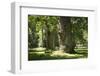 Germany, Mecklenburg-Western Pomerania, 'Ivenacker Eichen', zoo, district Mecklenburg lakeland, clo-Roland T. Frank-Framed Photographic Print