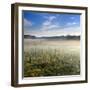 Germany, Mecklenburg-Western Pomerania, MŸritz National Park, Gro§es Serrahnmoor-Andreas Vitting-Framed Photographic Print