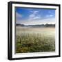 Germany, Mecklenburg-Western Pomerania, MŸritz National Park, Gro§es Serrahnmoor-Andreas Vitting-Framed Photographic Print