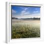 Germany, Mecklenburg-Western Pomerania, MŸritz National Park, Gro§es Serrahnmoor-Andreas Vitting-Framed Photographic Print