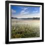 Germany, Mecklenburg-Western Pomerania, MŸritz National Park, Gro§es Serrahnmoor-Andreas Vitting-Framed Photographic Print