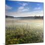 Germany, Mecklenburg-Western Pomerania, MŸritz National Park, Gro§es Serrahnmoor-Andreas Vitting-Mounted Photographic Print