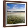 Germany, Mecklenburg-Western Pomerania, MŸritz National Park, Gro§es Serrahnmoor-Andreas Vitting-Framed Photographic Print