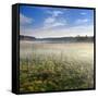 Germany, Mecklenburg-Western Pomerania, MŸritz National Park, Gro§es Serrahnmoor-Andreas Vitting-Framed Stretched Canvas