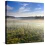 Germany, Mecklenburg-Western Pomerania, MŸritz National Park, Gro§es Serrahnmoor-Andreas Vitting-Stretched Canvas