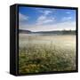 Germany, Mecklenburg-Western Pomerania, MŸritz National Park, Gro§es Serrahnmoor-Andreas Vitting-Framed Stretched Canvas