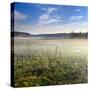 Germany, Mecklenburg-Western Pomerania, MŸritz National Park, Gro§es Serrahnmoor-Andreas Vitting-Stretched Canvas