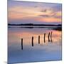 Germany, Mecklenburg-Western Pomerania, Mecklenburg-Vorpommern, Sundown in the Schaalsee-Andreas Vitting-Mounted Photographic Print