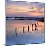 Germany, Mecklenburg-Western Pomerania, Mecklenburg-Vorpommern, Sundown in the Schaalsee-Andreas Vitting-Mounted Photographic Print