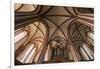 Germany, Mecklenburg-Western Pomerania, Röbel, Nikolaikirche, tree-aisled hall church-Roland T. Frank-Framed Photographic Print